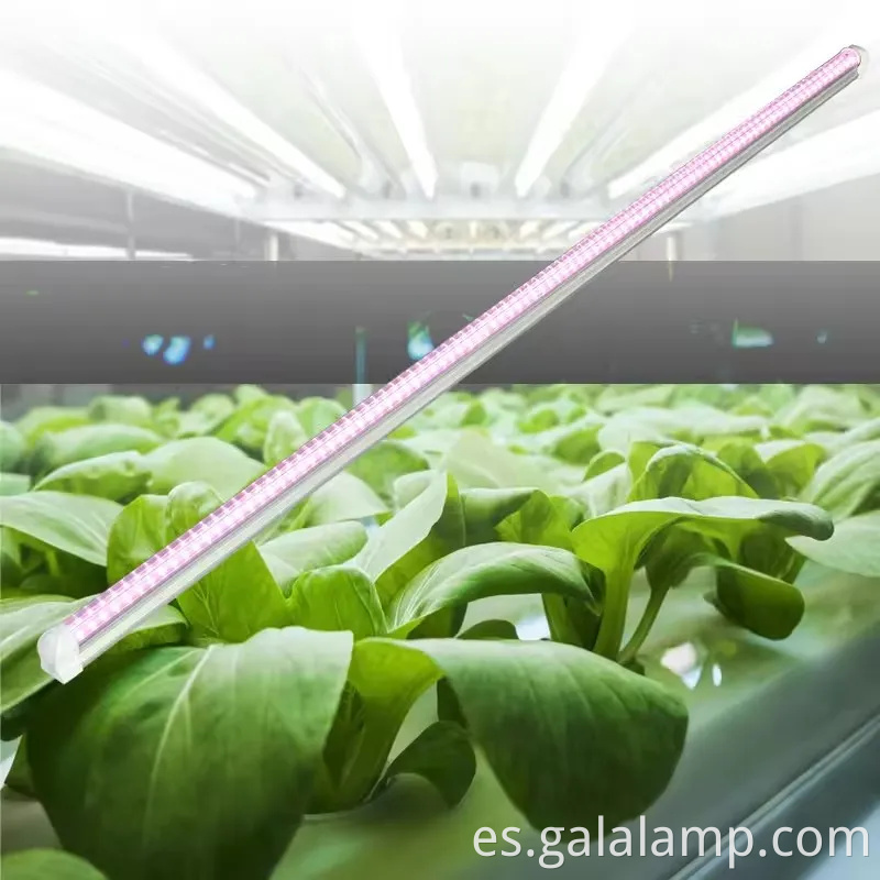 Cultivar plántulas, luz de suplemento para el crecimiento, luz de planta del espectro completo T5